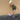 Y-Slides Kleur - Kids